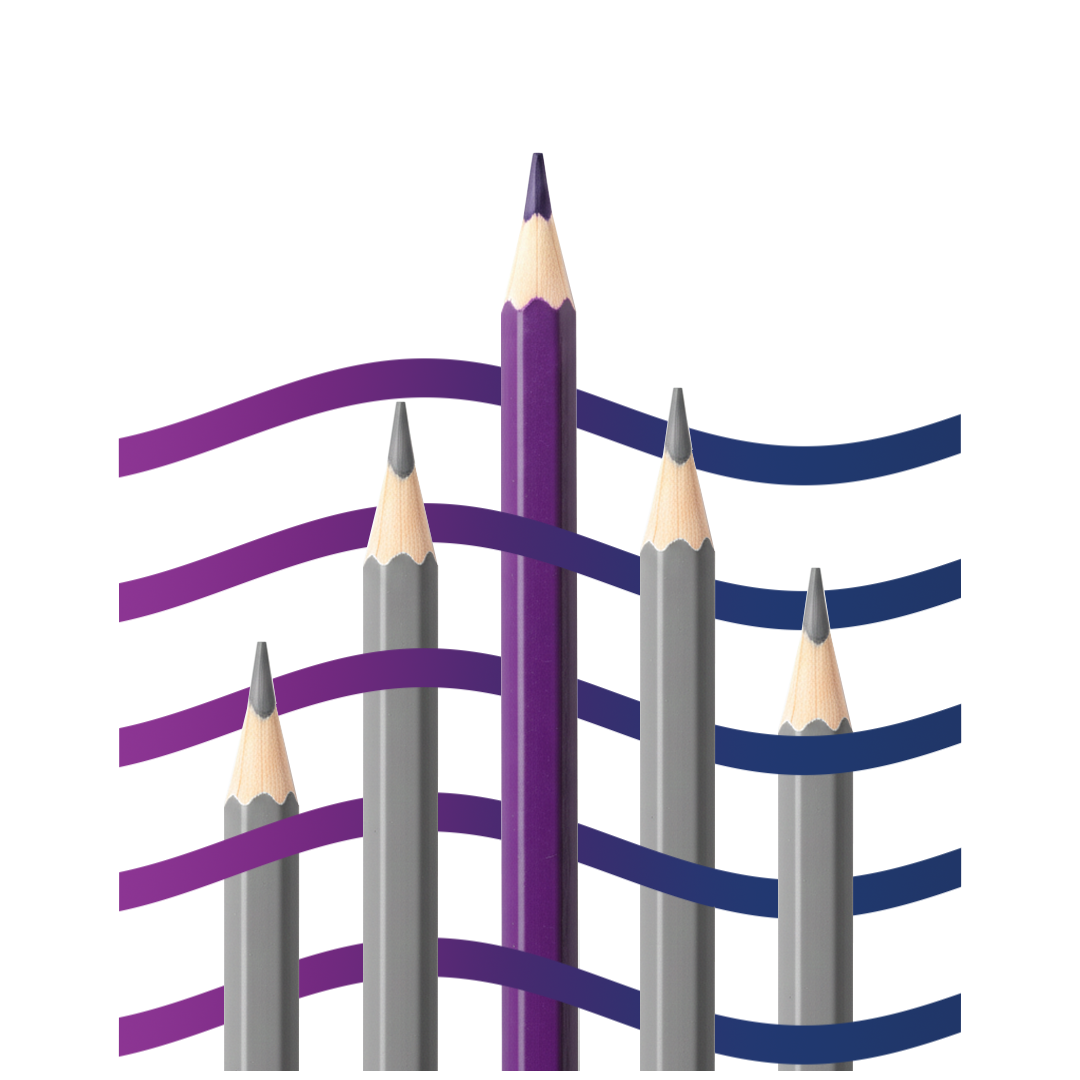 Specialized Focus Illustration